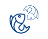 broodstock fish icon